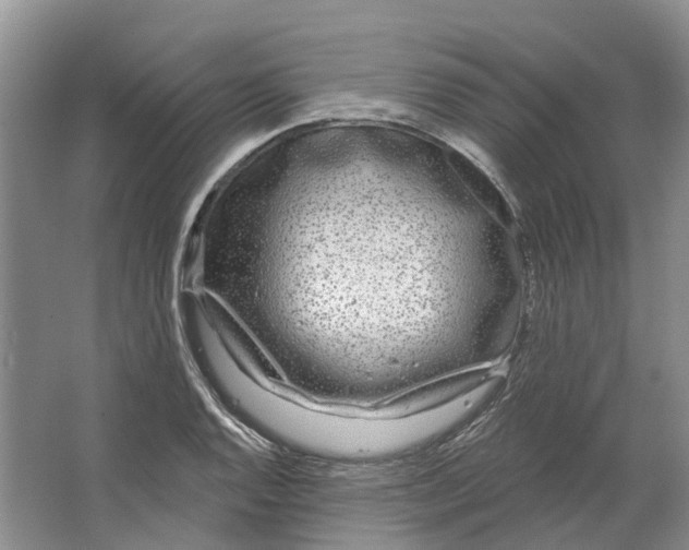 X0000064721128200602241629