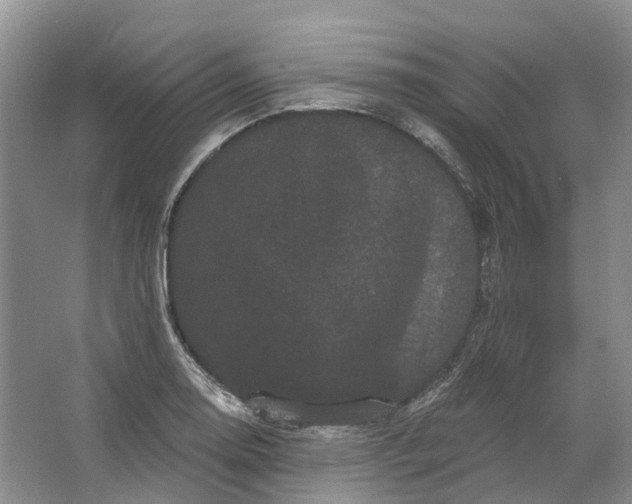 X0000064721130200602241629