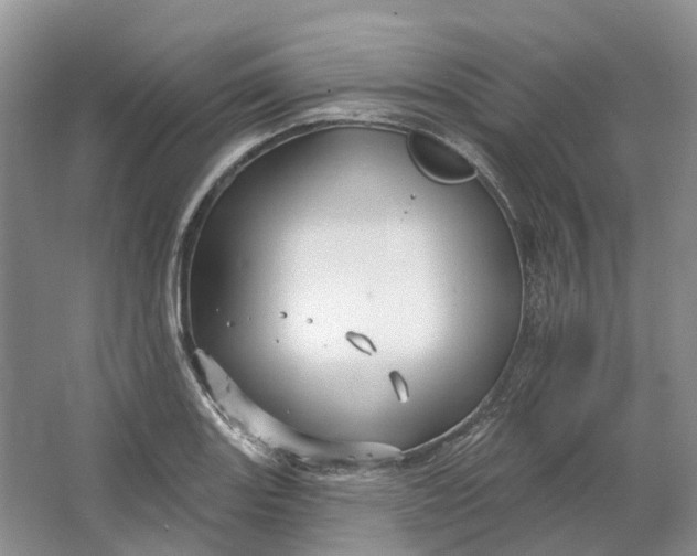 X0000064721131200602241629