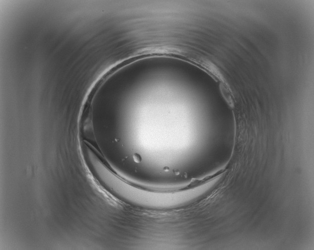 X0000064721132200602241629