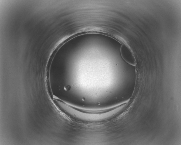 X0000064721133200602241629