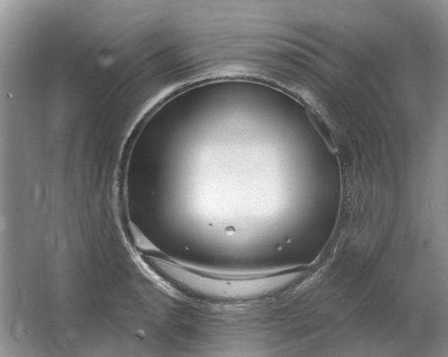 X0000064721134200602241629