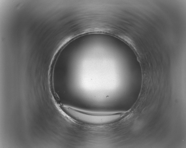 X0000064721135200602241629