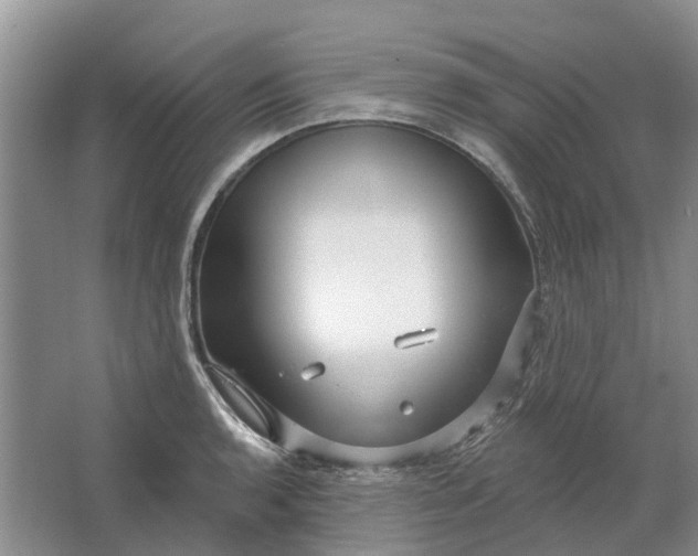 X0000064721136200602241629