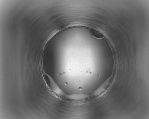 X0000064721137200602241629