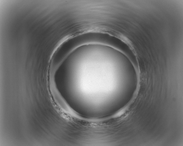 X0000064721138200602241629