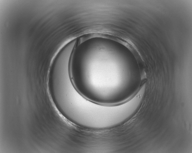 X0000064721139200602241629