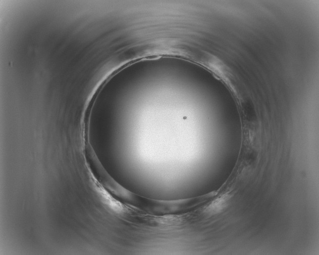 X0000064721140200602241629