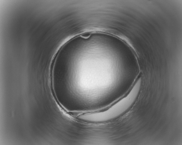 X0000064721143200602241629