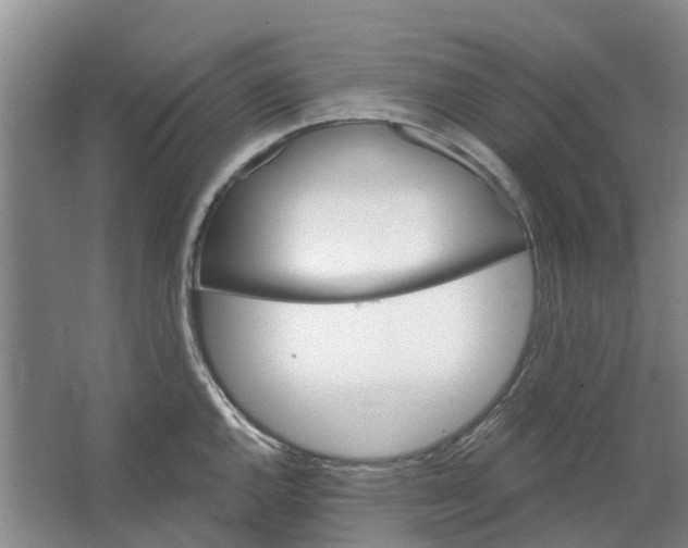 X0000064721144200602241629