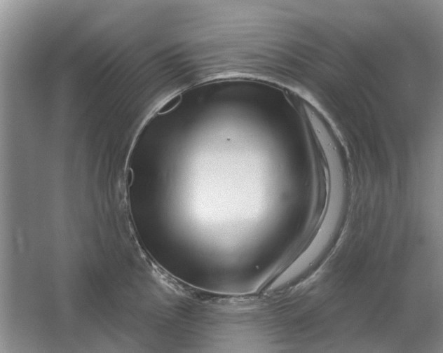 X0000064721145200602241629