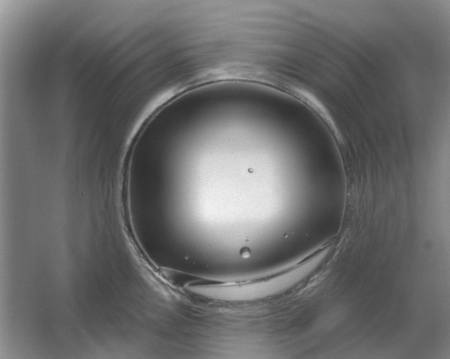 X0000064721146200602241629