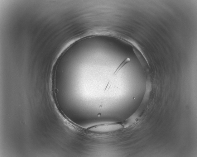 X0000064721147200602241629