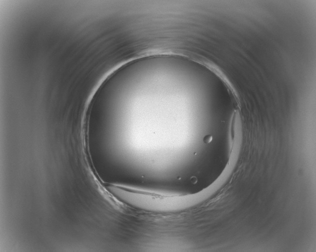 X0000064721148200602241629