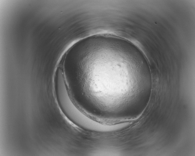 X0000064721151200602241629