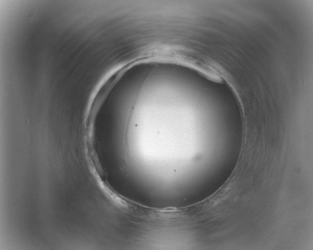 X0000064721152200602241629