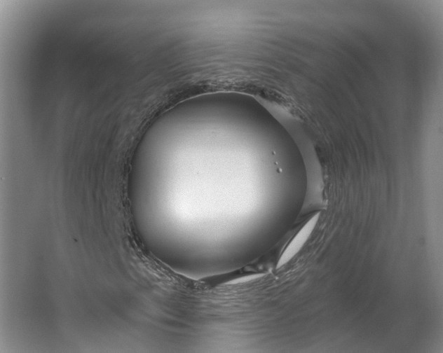 X0000064721153200602241628