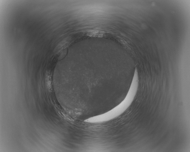 X0000064721154200602241628