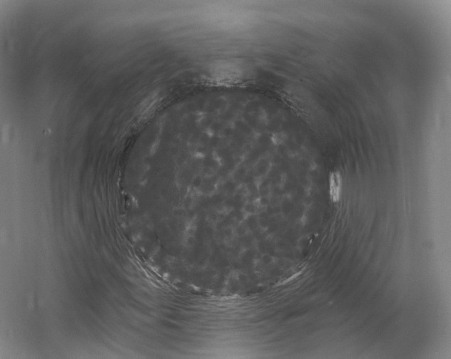 X0000064721155200602241628