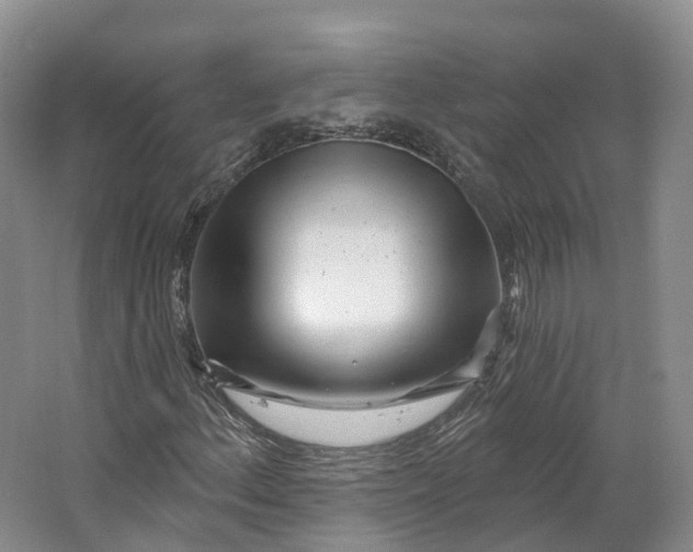 X0000064721156200602241628