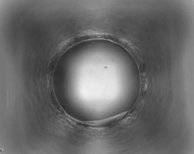 X0000064721157200602241628