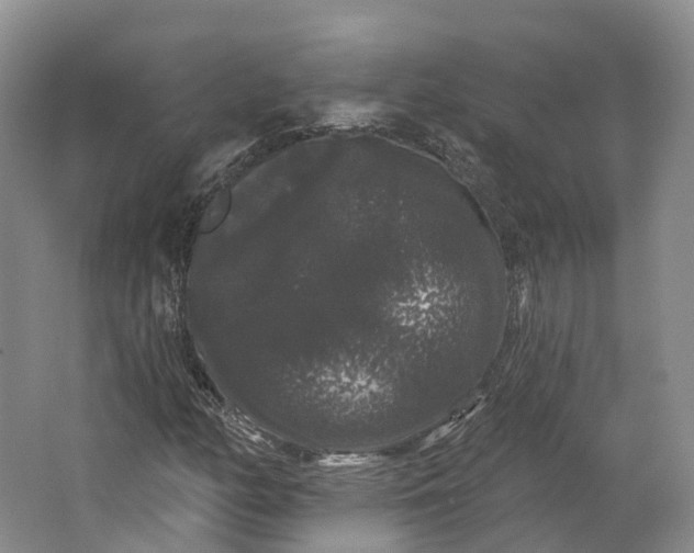 X0000064721158200602241628