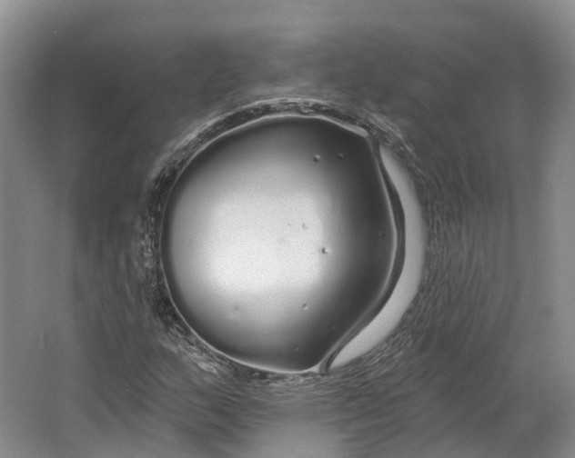 X0000064721159200602241628