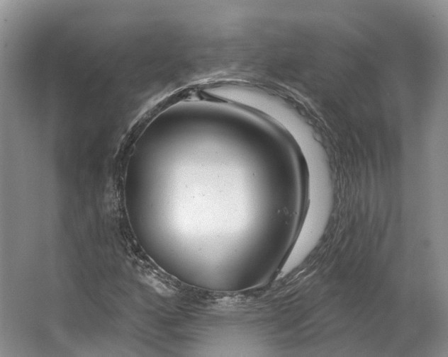 X0000064721160200602241628