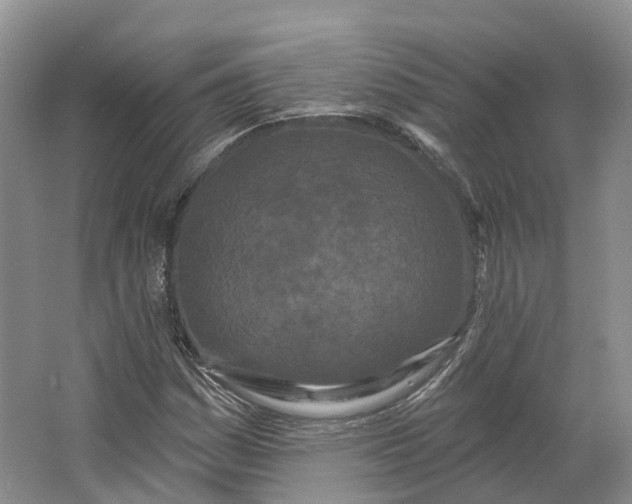 X0000064721161200602241628