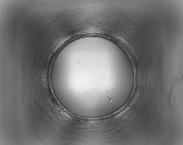 X0000064721162200602241628