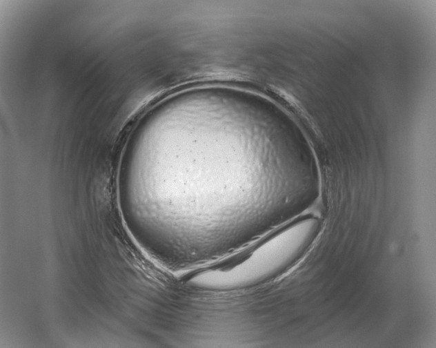 X0000064721163200602241628