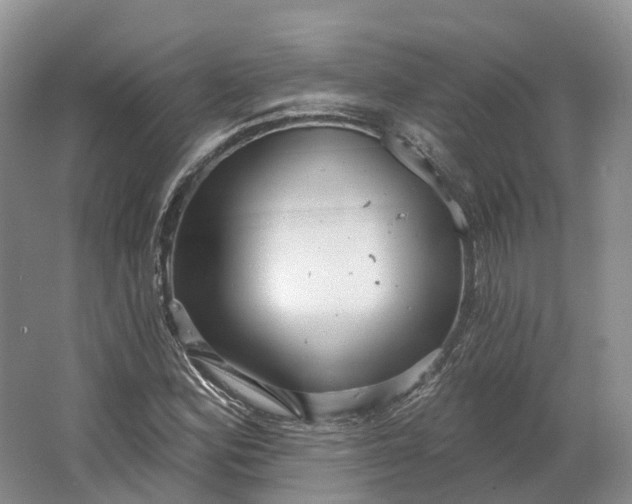 X0000064721164200602241628