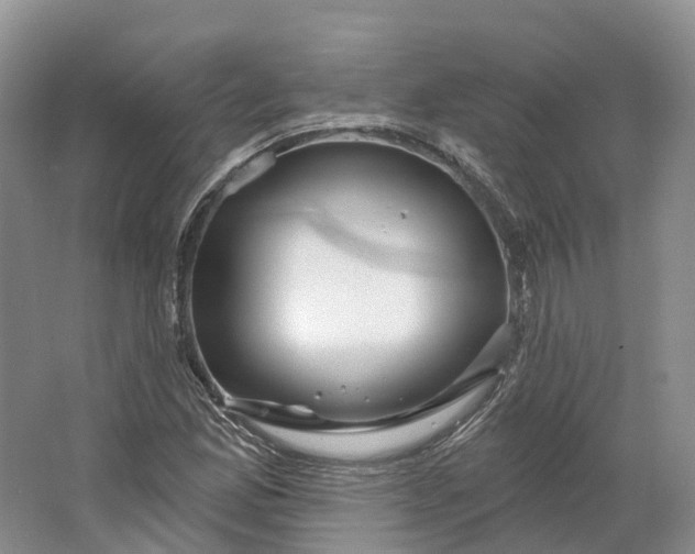 X0000064721165200602241628