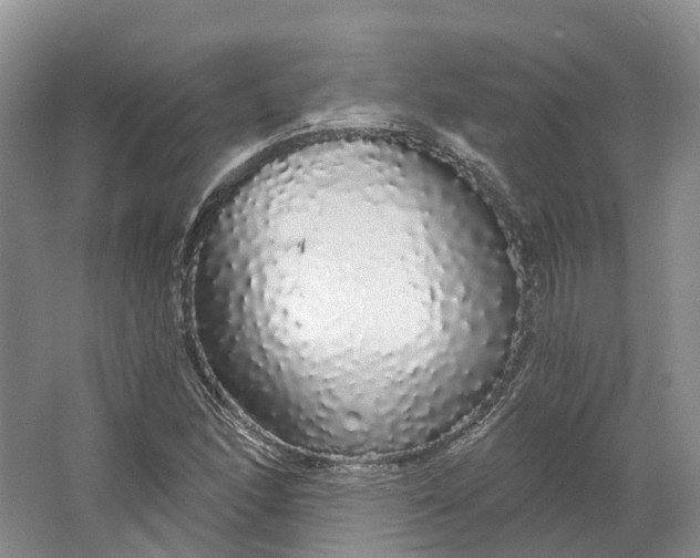 X0000064721166200602241628