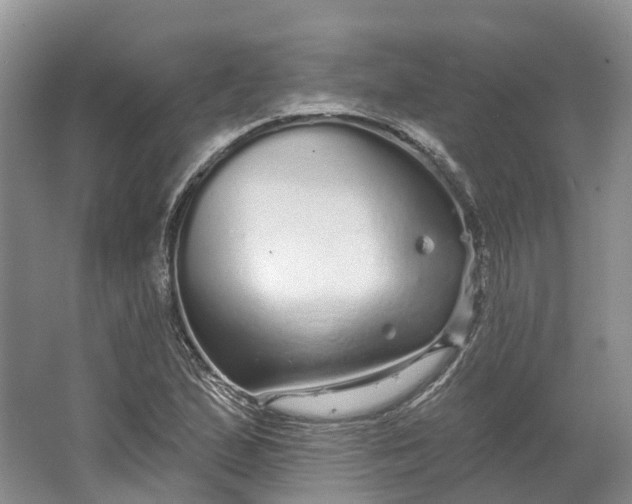 X0000064721167200602241628