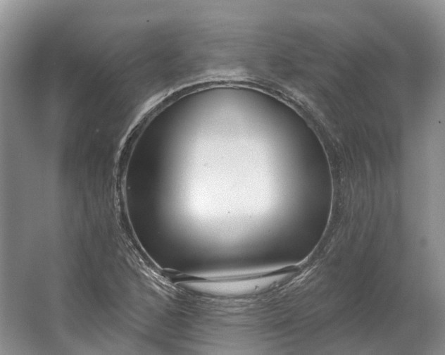 X0000064721168200602241628