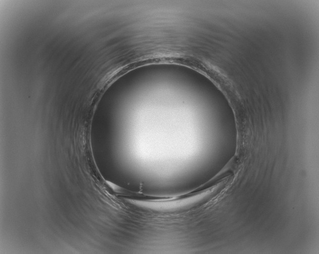 X0000064721169200602241628