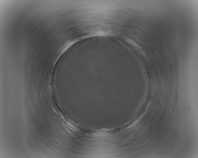 X0000064721170200602241628