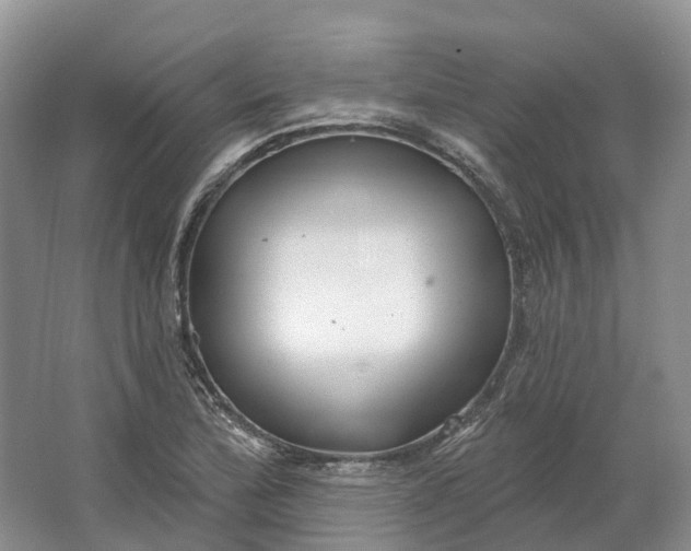 X0000064721172200602241628