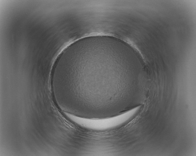 X0000064721173200602241628