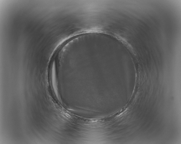 X0000064721174200602241628