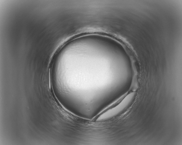 X0000064721175200602241628