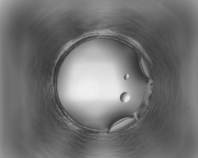 X0000064721176200602241628