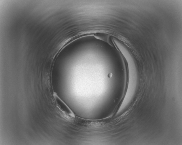 X0000064721177200602241628