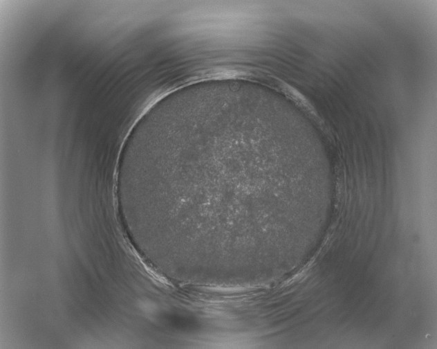 X0000064721178200602241628