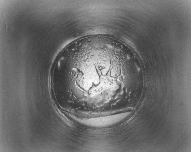 X0000064721179200602241627