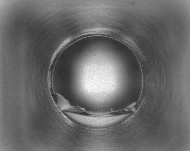 X0000064721180200602241627