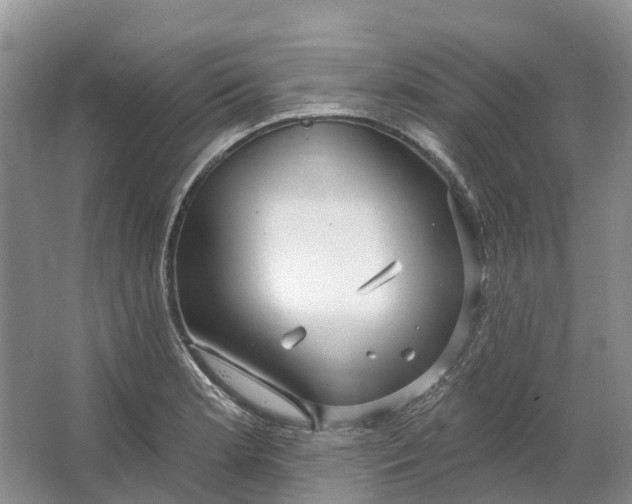 X0000064721181200602241627