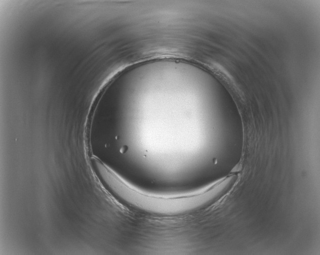 X0000064721182200602241627