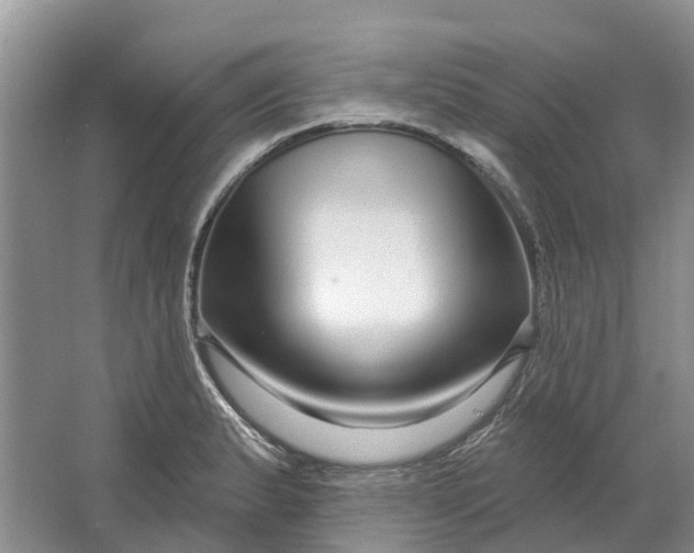 X0000064721183200602241627